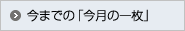 今月の一枚