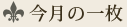 今月の一枚